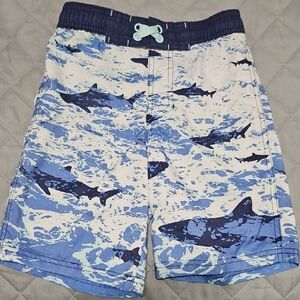 Cat & Jack Aqua and White Swim Shorts